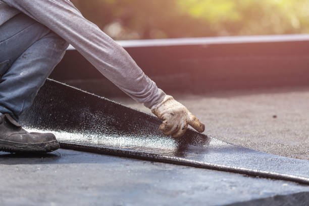 Professional Basement Waterproofing technician working in Logan, AL
